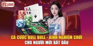 ca-cuoc-bull-bull-kinh-nghiem-choi-cho-nguoi-moi-bat-dau